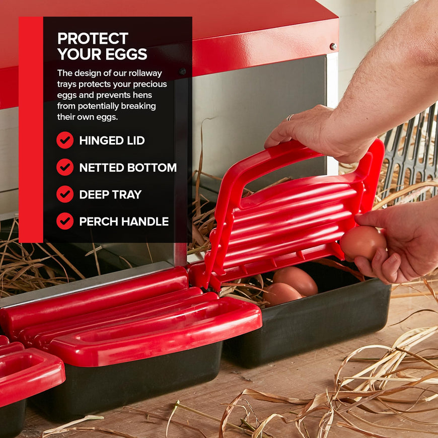 Modern Innovations Chicken Nesting Boxes