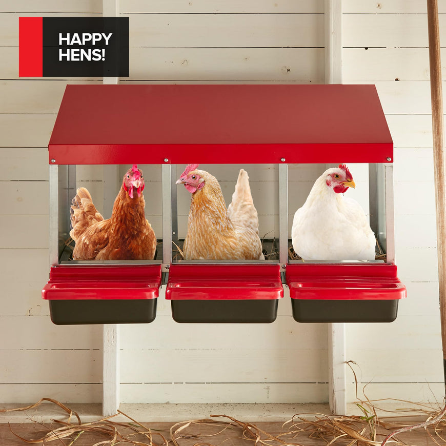 Modern Innovations Chicken Nesting Boxes