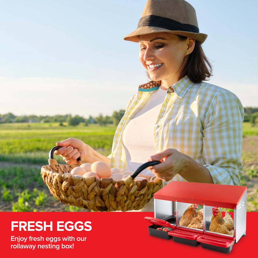 Modern Innovations Chicken Nesting Boxes
