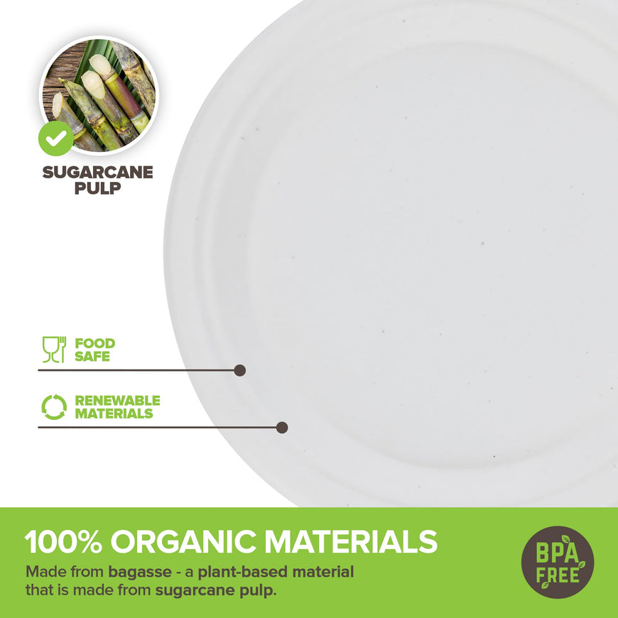 Stock Your Home 100% Compostable Plates 9 Inch (100 Count), Large Heavy Duty Biodegradable Paper Plate for Dinner, Eco-Friendly Recyclable Disposable Sustainable, White Bagasse