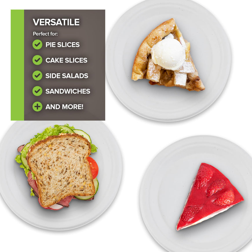 Stock Your Home 100% Compostable Plates 9 Inch (100 Count), Large Heavy Duty Biodegradable Paper Plate for Dinner, Eco-Friendly Recyclable Disposable Sustainable, White Bagasse