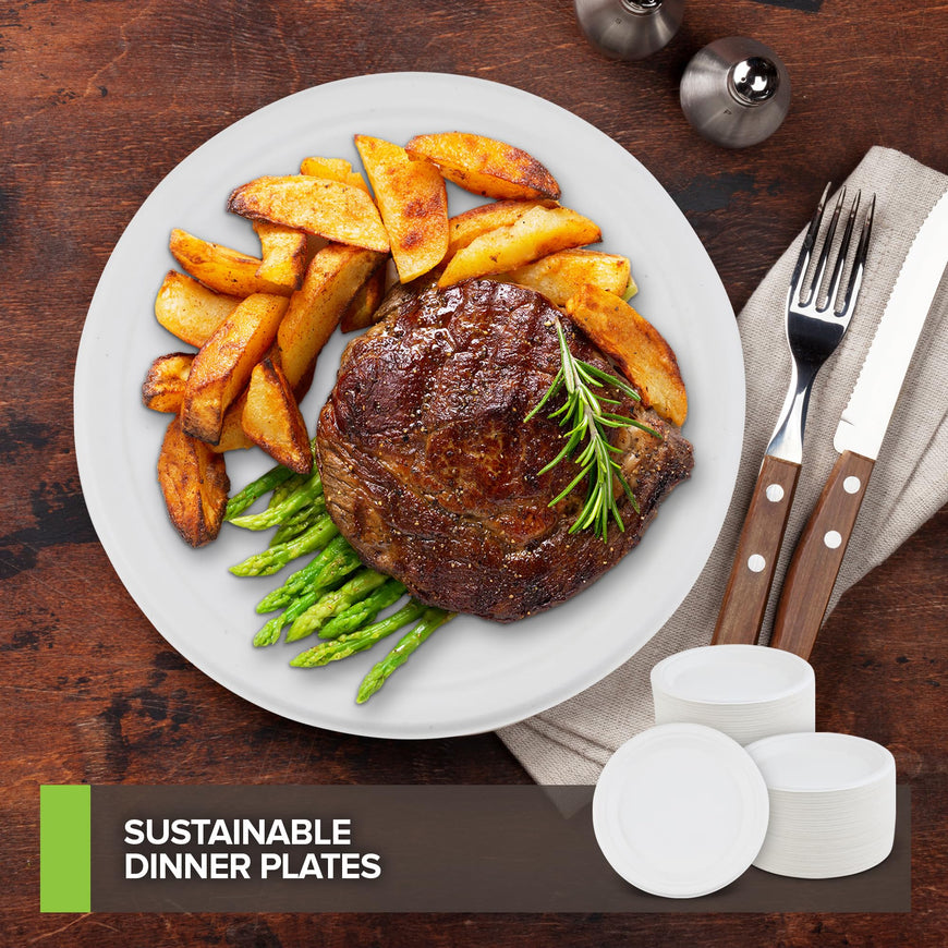 Stock Your Home 100% Compostable Plates 9 Inch (100 Count), Large Heavy Duty Biodegradable Paper Plate for Dinner, Eco-Friendly Recyclable Disposable Sustainable, White Bagasse