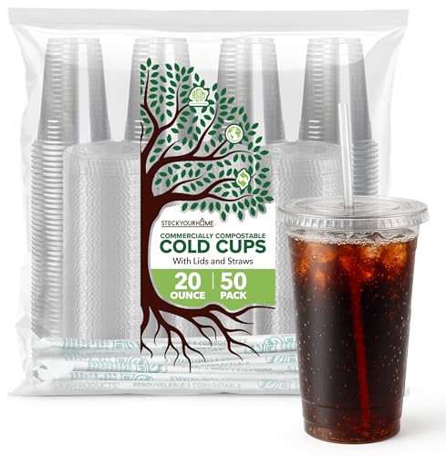 Stock Your Home 20 oz Clear Cold Cups with Lids and Straws (50 Pack), Disposable Drink Cups