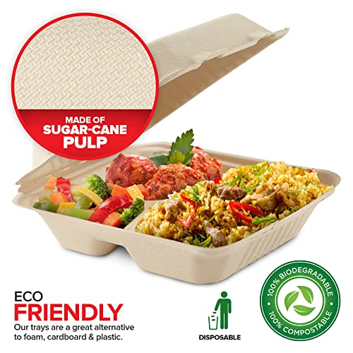 Bagasse Clamshell Takeout Containers, Biodegradable Eco Friendly Take Out to Go Food Containers with Lids (8x8) 50 Count