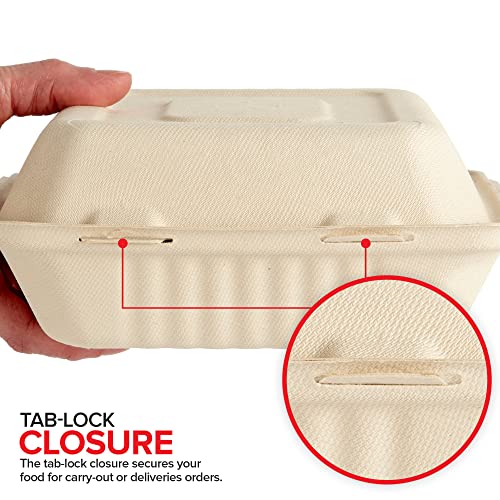 Bagasse Clamshell Takeout Containers, Biodegradable Eco Friendly Take Out to Go Food Containers with Lids (8x8) 50 Count