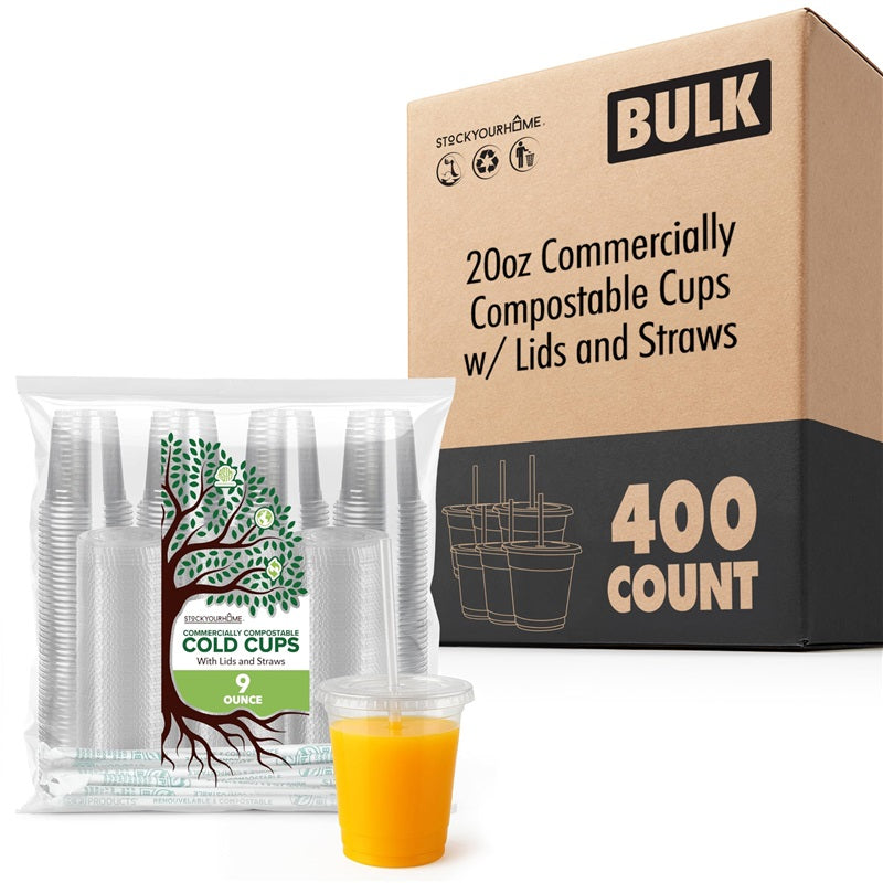 Stock Your Home 20 oz Clear Cold Cups with Lids and Straws Set of 400 Plastic Cups