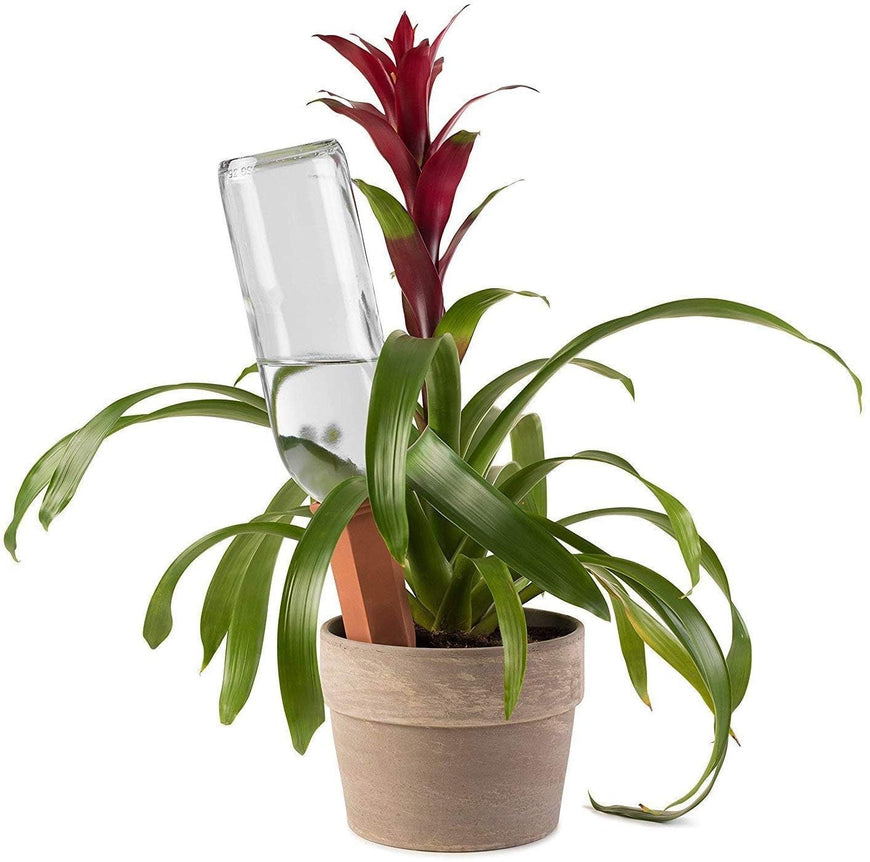 Plant Stakes - (Set 48)