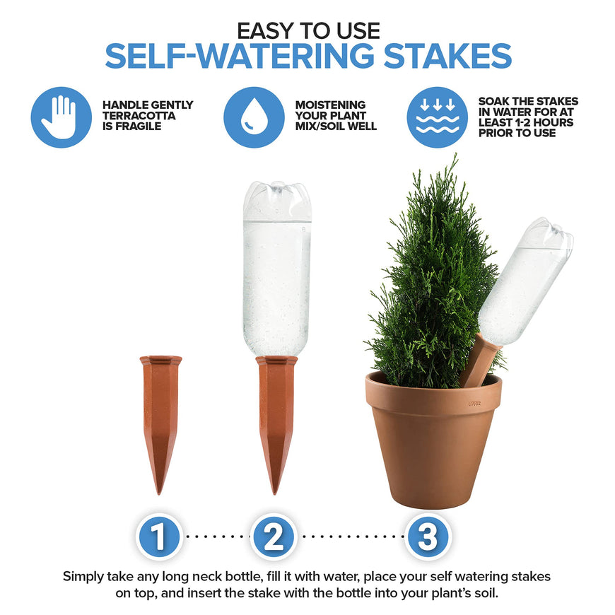 Plant Stakes - (Set 60)