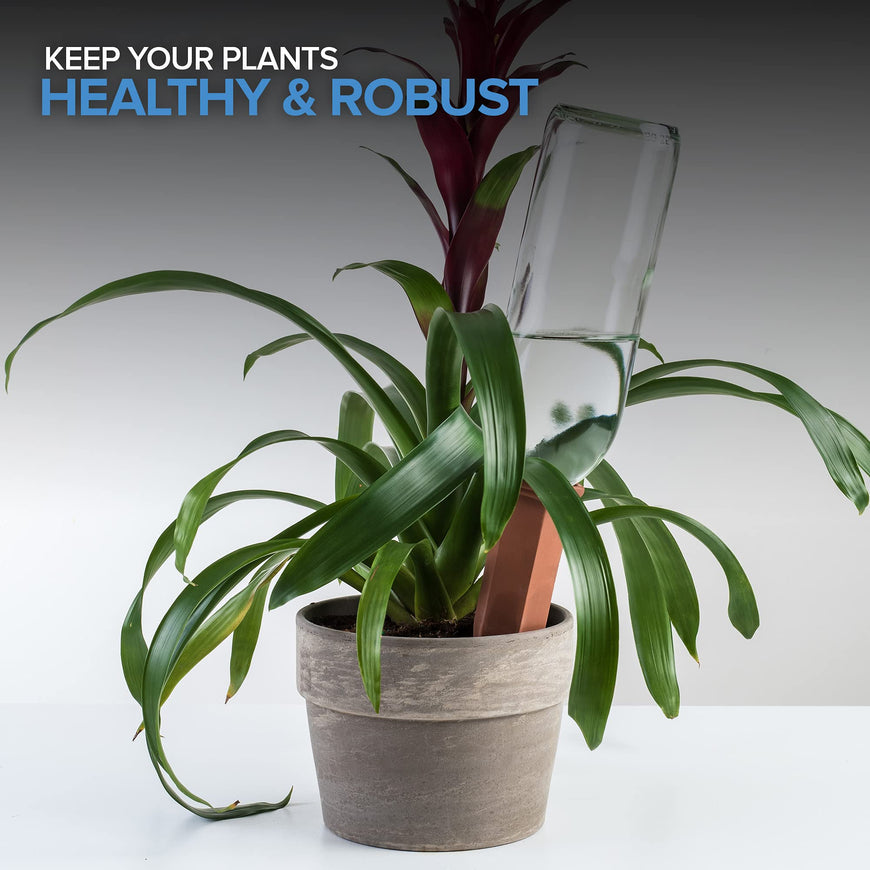 Plant Stakes - (Set 60)
