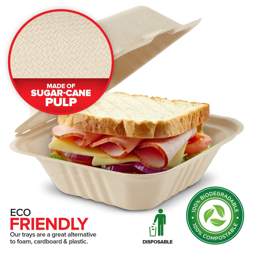 6x6 Bagasse Clamshell Take Out Boxes - 500 Pack
