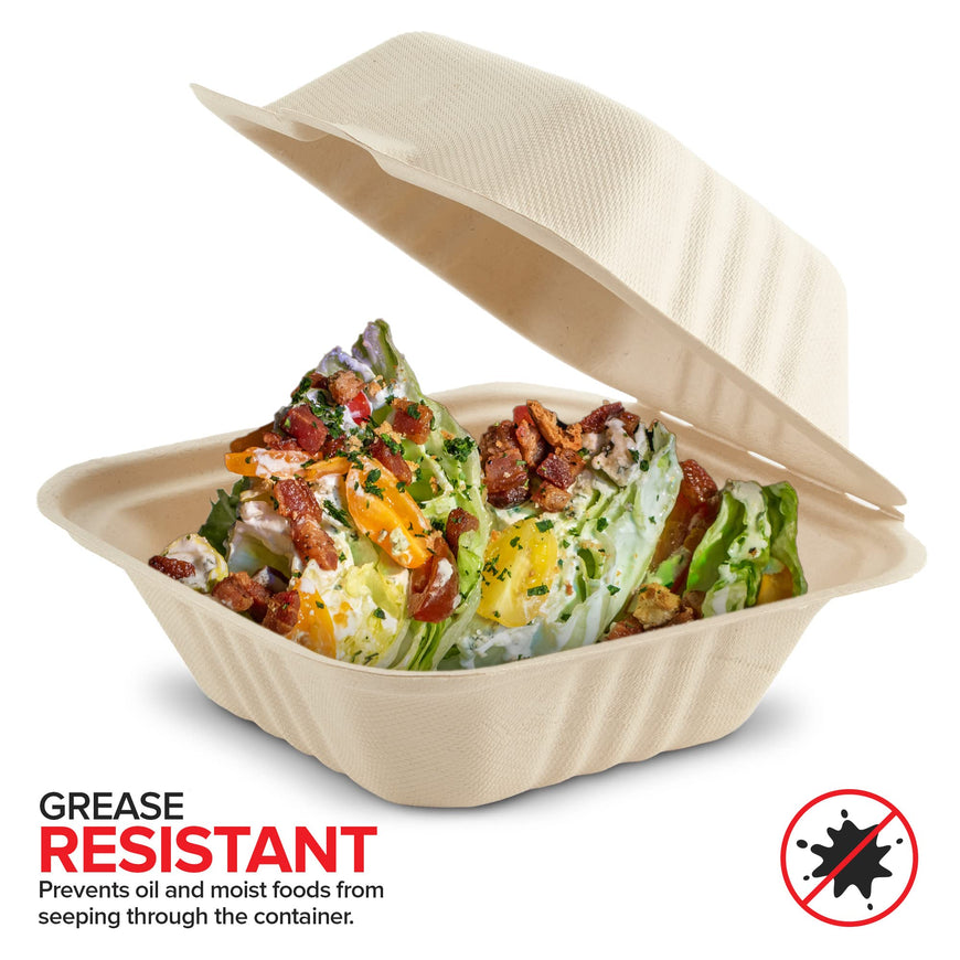 6x6 Bagasse Clamshell Take Out Boxes - 500 Pack