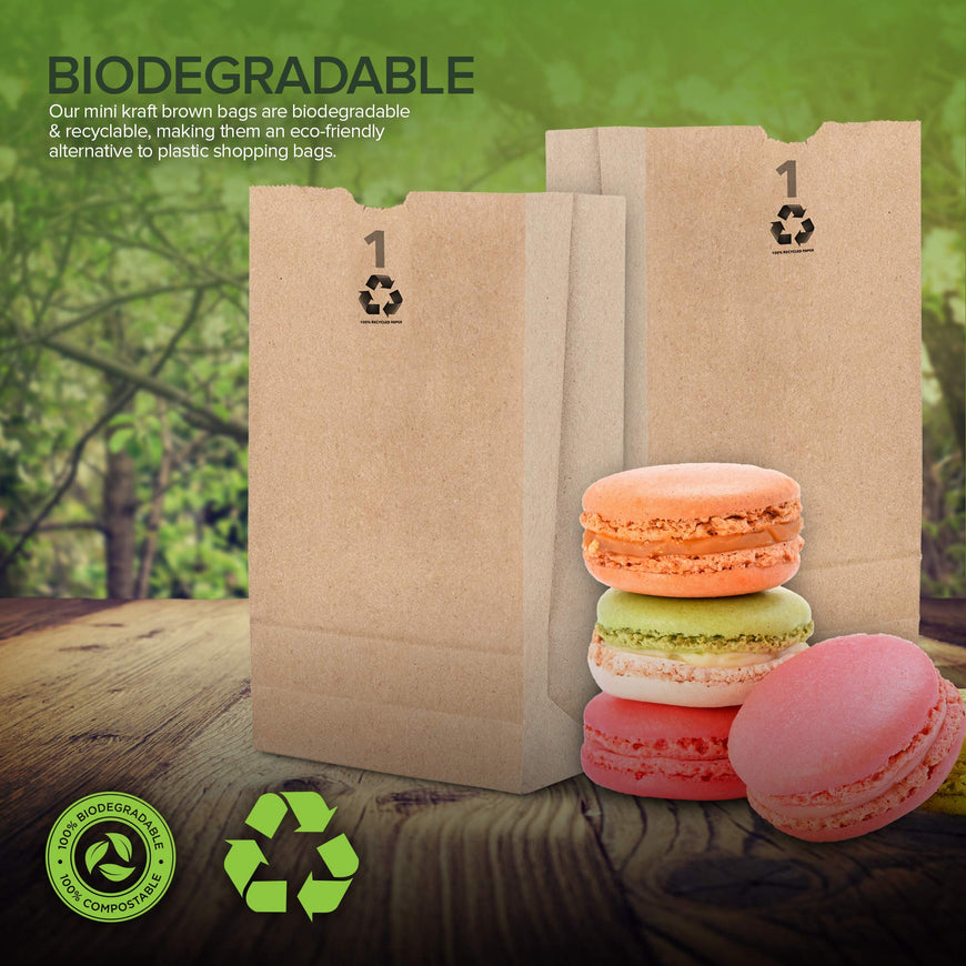 1 LB Brown Paper Bag (2000 Pack)