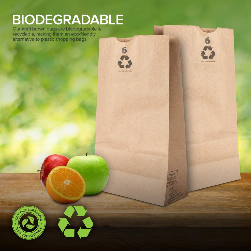 6 LB Brown Paper Bag (1200 Pack)