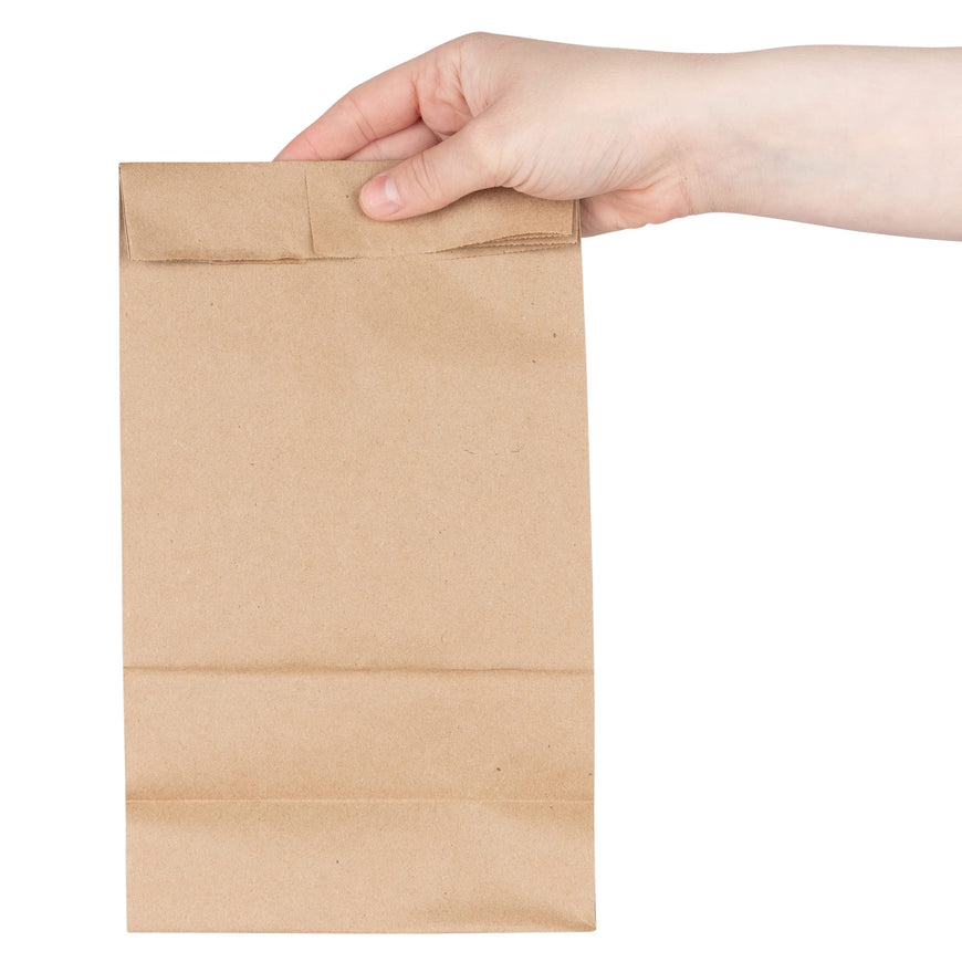 6 LB Brown Paper Bag (1200 Pack)