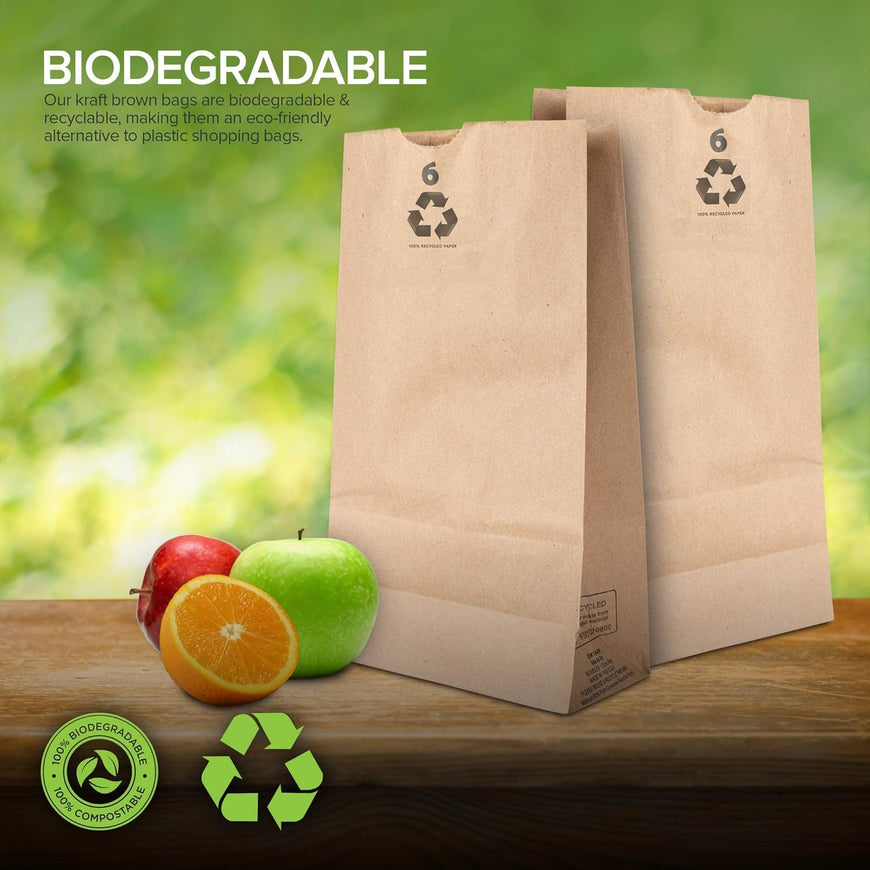 6 Lb Kraft Brown Paper Bags 1000 count