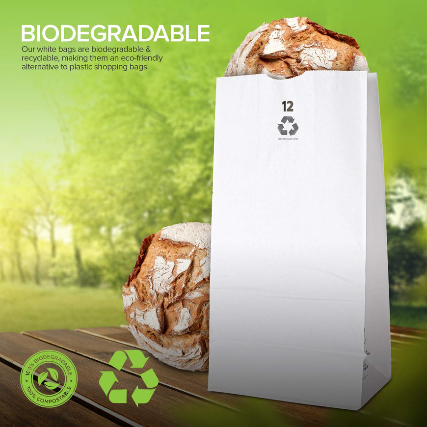 12 LB White Paper Bag (600 Pack)