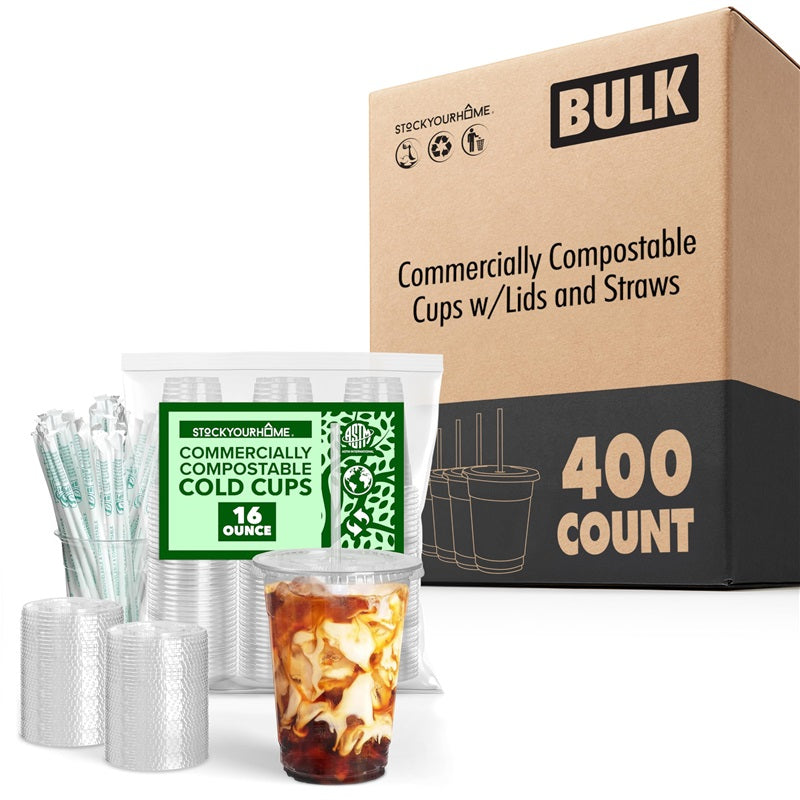 Stock Your Home 16 oz Clear Cold Cups with Lids and Straws 400 Pack Plastic Party Cups