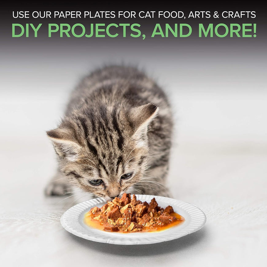 Uncoated 6 inch Paper Plates - 1000 Pack