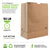 Stock Your Home 52 Lb Kraft Brown Paper Bags (100 Count) - Kraft Brown Paper Grocery Bags Bulk - Large Paper Bags for Grocery Shopping