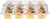 Stock Your Home 12-High Compartment Disposable Containers (4 Count) - Plastic Mini Cupcake Containers - Trays for Small Cupcakes & Muffins - Hinged Lock Cupcake Clamshell - Mini Cupcake Storage