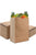 Stock Your Home 57 Lb Kraft Brown Paper Bags (100 Count) - Kraft Brown Paper Grocery Bags Bulk - Large Paper Bags for Grocery Shopping