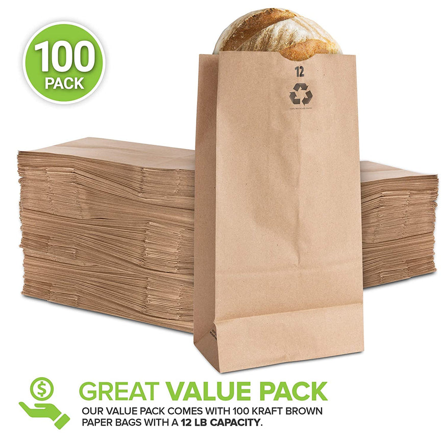 Stock Your Home 12 Lb Kraft Brown Paper Bags (100 Count) - Large Paper Lunch Bags for Packing Lunch and Snacks - Blank Brown Lunch Sacks for Arts & Crafts Projects