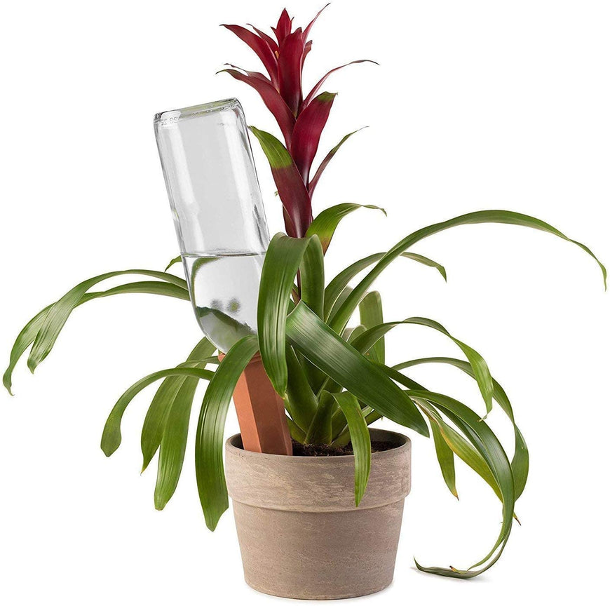 Plant Self-Watering Stakes for Indoor Outdoor Plants (4 Count) Terracotta Plant Watering Spikes for Recycled Wine Bottles to Water Plant at Home or on Vacation - Automatic Irrigation System for Plants